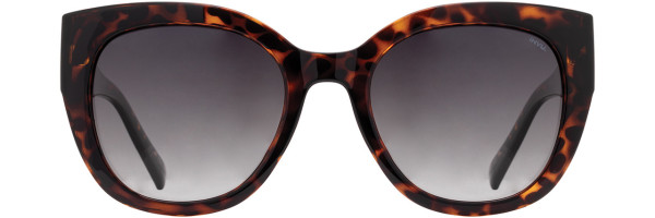 INVU INVU Sunwear 331 Sunglasses