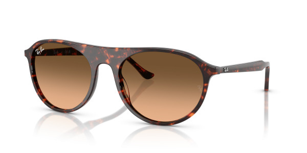 Ray-Ban RB2215F Sunglasses