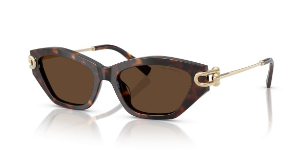Tiffany & Co. TF4231U Sunglasses
