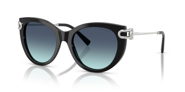 Tiffany & Co. TF4232F Sunglasses