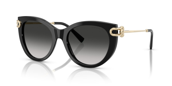 Tiffany & Co. TF4232 Sunglasses