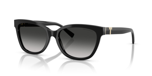 Tiffany & Co. TF4237BF Sunglasses