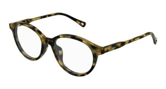 Chloé CH0316OA Eyeglasses, 002 - HAVANA with TRANSPARENT lenses