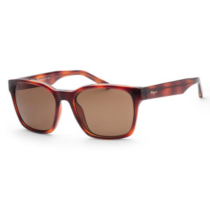 Ferragamo SF959S Eyeglasses
