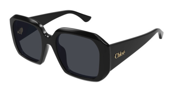 Chlo&eacute; CH0300S Sunglasses