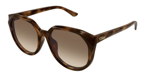 Chlo&eacute; CH0291SK Sunglasses
