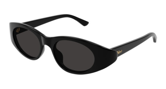Chlo&eacute; CH0279S Sunglasses