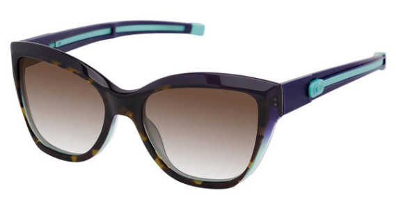 Champion ROWAN Sunglasses
