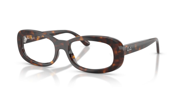 Ray-Ban Optical RX2221V Eyeglasses