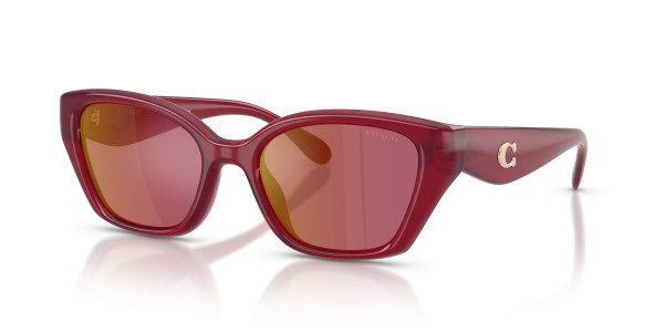 Coach HC8434U CBY91 Sunglasses