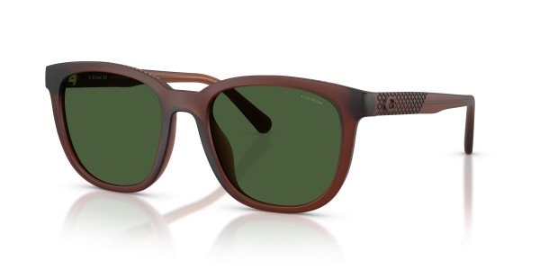 Coach HC8442U CCA00 Sunglasses