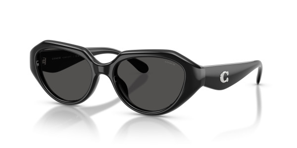 Coach HC8433U CBY77 Sunglasses