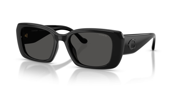 Coach HC8435U CBY82 Sunglasses