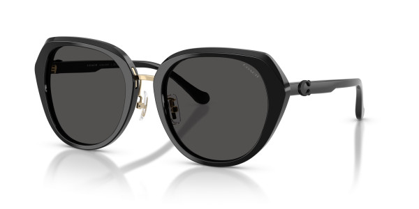 Coach HC8436 CBY93 Sunglasses