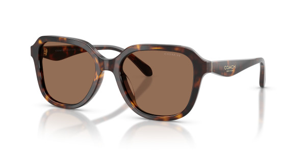 Coach HC8437F CBY89 Sunglasses