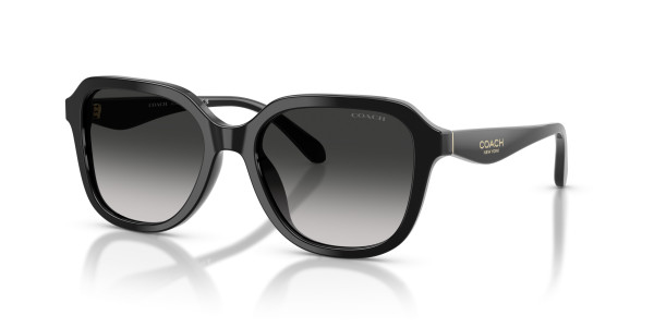 Coach HC8437U CBY87 Sunglasses