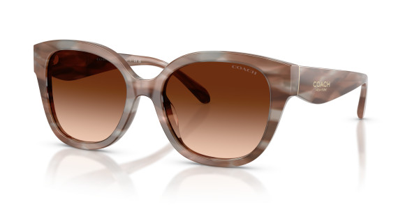 Coach HC8438U CBY94 Sunglasses