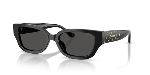 Coach HC8439U CBZ52 Sunglasses