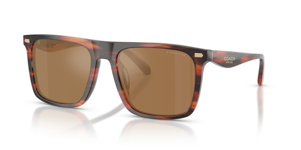 Coach HC8440U CBY95 Sunglasses
