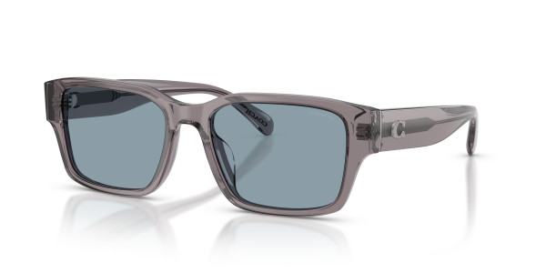 Coach HC8441U CBY96 Sunglasses