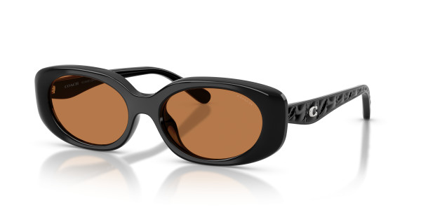 Coach HC8443D CBY84 Sunglasses