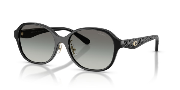 Coach HC8445D CBY85 Sunglasses