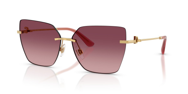 Dolce & Gabbana DG2321 Sunglasses