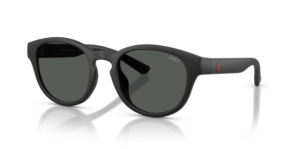 Polo PH4233U Sunglasses