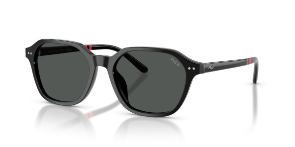 Polo PH4234U Sunglasses