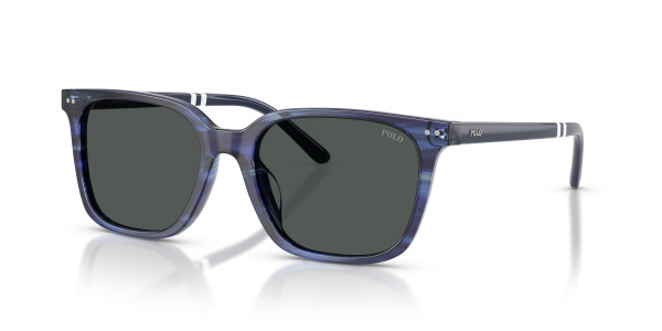 Polo PH4235U Sunglasses