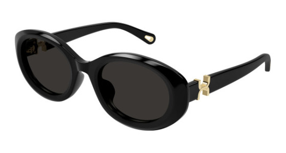 Chlo&eacute; CH0323SK Sunglasses