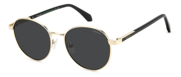 Polaroid Core PLD 4197/S/X/US Sunglasses