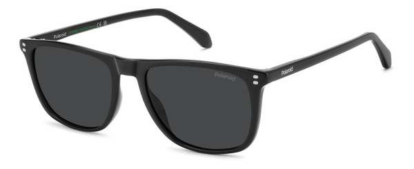 Polaroid Core PLD 4202/S/X Sunglasses