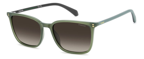 Polaroid Core PLD 4207/S/X Sunglasses