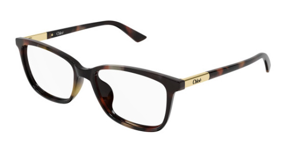 Chlo&eacute; CH0371OA Eyeglasses