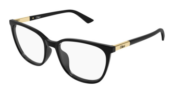 Chlo&eacute; CH0370OL Eyeglasses