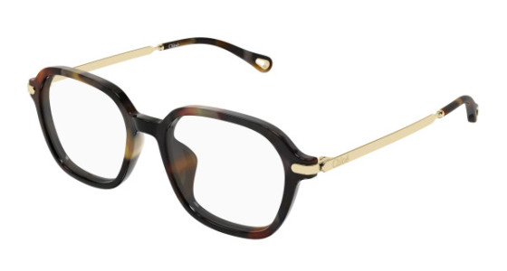Chlo&eacute; CH0361OA Eyeglasses