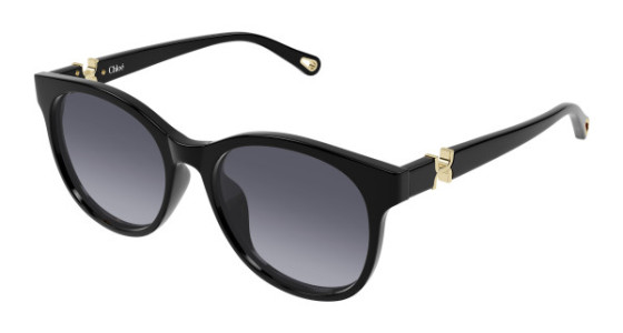 Chlo&eacute; CH0375SK Sunglasses