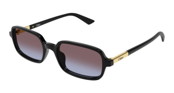 Chlo&eacute; CH0363S Sunglasses