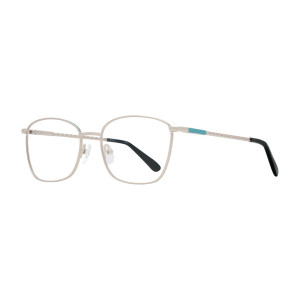 Stylewise SW471 Eyeglasses