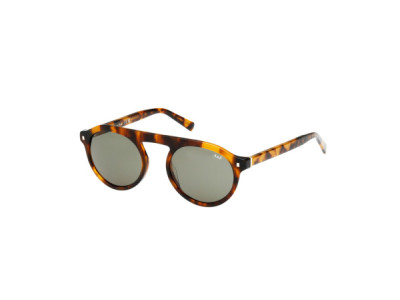 Abercrombie & Fitch AF00046 Sunglasses