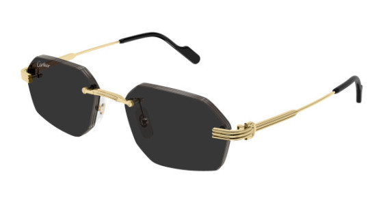 Cartier CT0616S Sunglasses