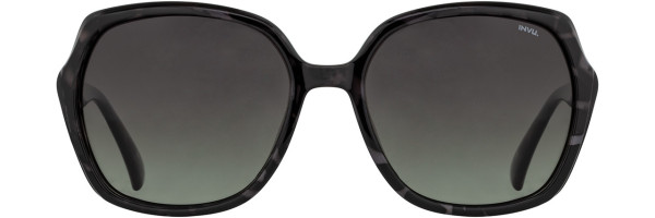 Alan J INVU Sunwear 248 Sunglasses