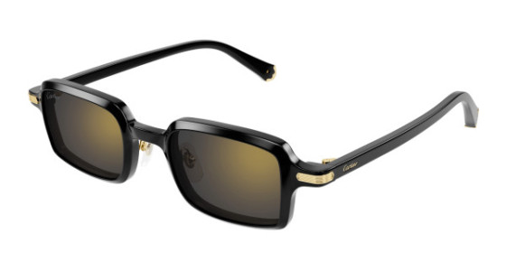 Cartier CT0539S Sunglasses