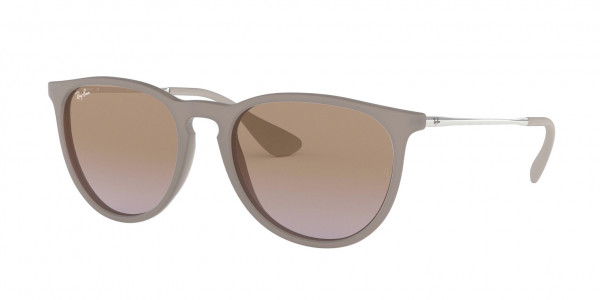 Ray-Ban RB4171 ERIKA Sunglasses