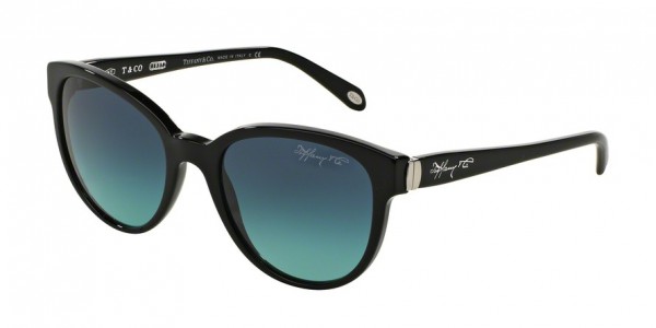 Tiffany & Co. TF4109F Sunglasses, 80019S BLACK (BLACK)