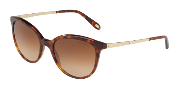 Tiffany & Co. TF4117B Sunglasses