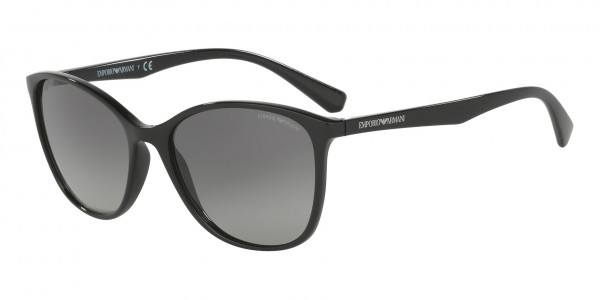 Emporio Armani EA4073 Sunglasses