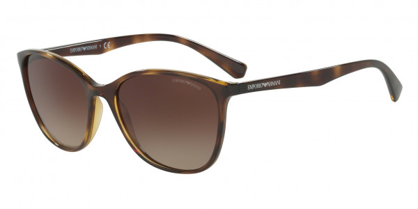 Emporio Armani EA4073 Sunglasses