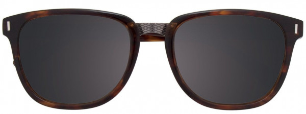 BMW Eyewear M1505 Sunglasses, 010 - Demi Amber & Brown